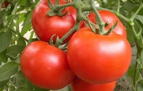 1689061822410481.jpg e276e292159d5373681c74535d33889f_146314253_3_20181007073715483.jpg